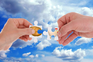 manuales de franquicia